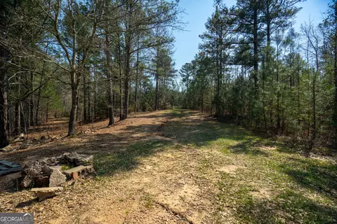 0 Lower Big Springs Rd, Lagrange, GA 30241 photo 24