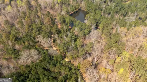 0 Lower Big Springs Rd, Lagrange, GA 30241 photo 10