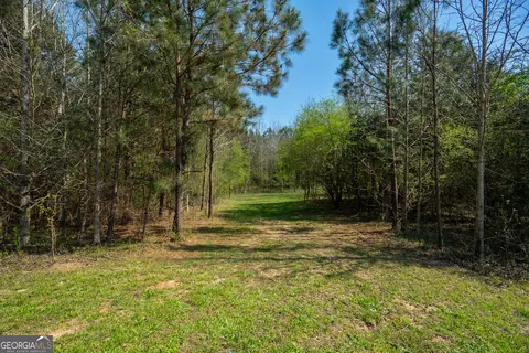 0 Lower Big Springs Rd, Lagrange, GA 30241 photo 27