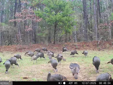 0 Lower Big Springs Rd, Lagrange, GA 30241 photo 34
