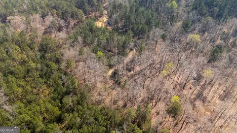 0 Lower Big Springs Rd, Lagrange, GA 30241 photo 3