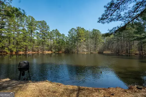 0 Lower Big Springs Rd, Lagrange, GA 30241 photo 21