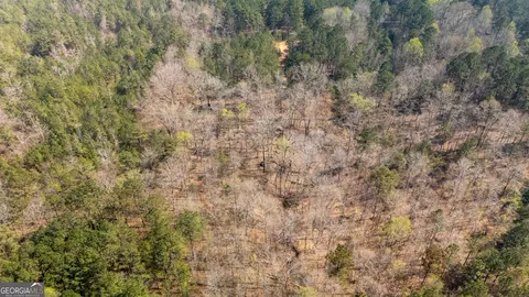 0 Lower Big Springs Rd, Lagrange, GA 30241 photo 5
