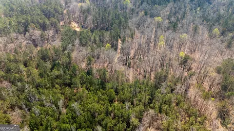 0 Lower Big Springs Rd, Lagrange, GA 30241 photo 2