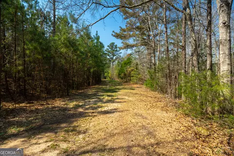 0 Lower Big Springs Rd, Lagrange, GA 30241 photo 25