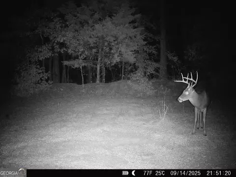 0 Lower Big Springs Rd, Lagrange, GA 30241 photo 33