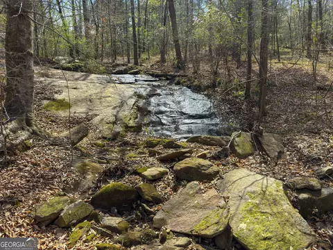 0 Lower Big Springs Rd, Lagrange, GA 30241 photo 39