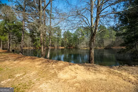 0 Lower Big Springs Rd, Lagrange, GA 30241 photo 23
