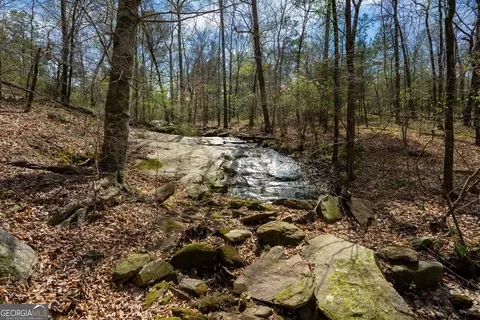 0 Lower Big Springs Rd, Lagrange, GA 30241 photo 44