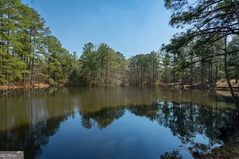 0 Lower Big Springs Rd, Lagrange, GA 30241 photo 20