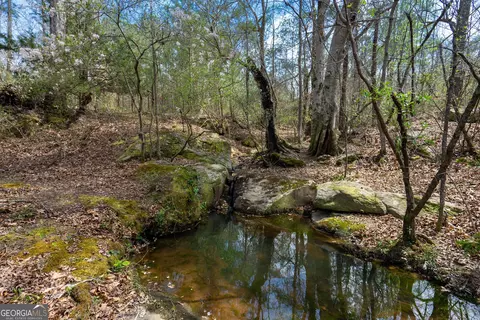 0 Lower Big Springs Rd, Lagrange, GA 30241 photo 41