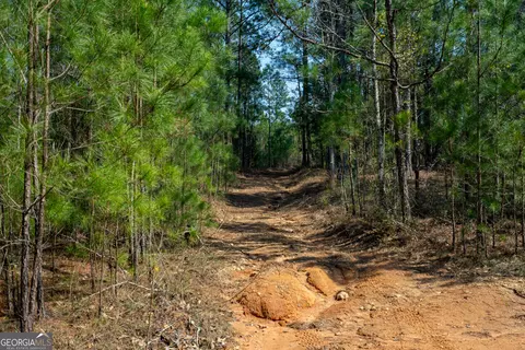 0 Lower Big Springs Rd, Lagrange, GA 30241 photo 18