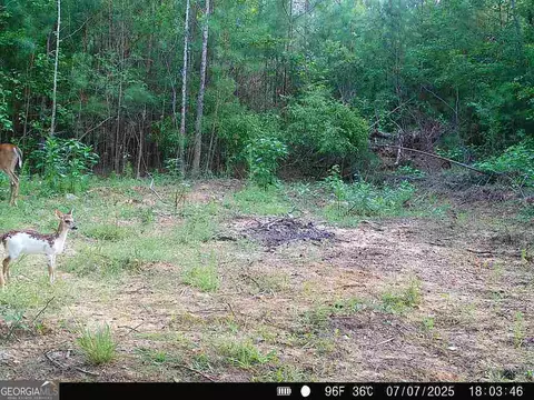 0 Lower Big Springs Rd, Lagrange, GA 30241 photo 36
