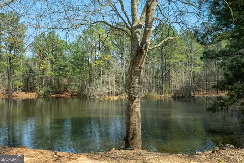 0 Lower Big Springs Rd, Lagrange, GA 30241 photo 22