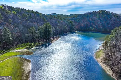 14 Hawks Branch Ln, White, GA 30184 photo 11