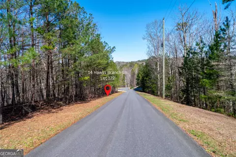 14 Hawks Branch Ln, White, GA 30184 photo 4