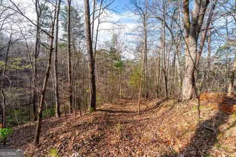 14 Hawks Branch Ln, White, GA 30184 photo 6