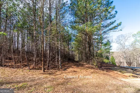 14 Hawks Branch Ln, White, GA 30184 photo 5