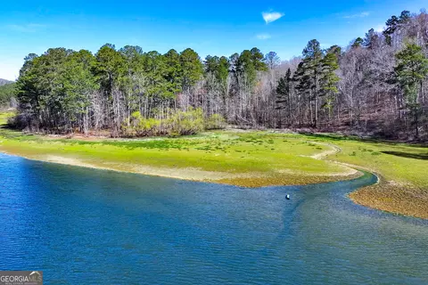14 Hawks Branch Ln, White, GA 30184 photo 10