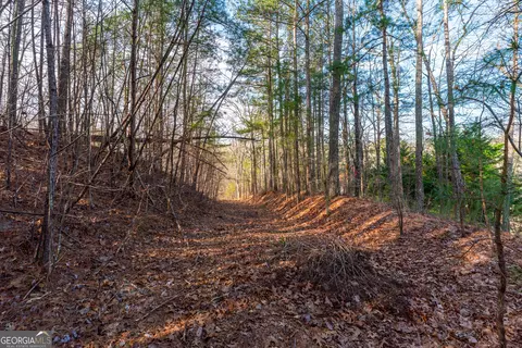 14 Hawks Branch Ln, White, GA 30184 photo 7