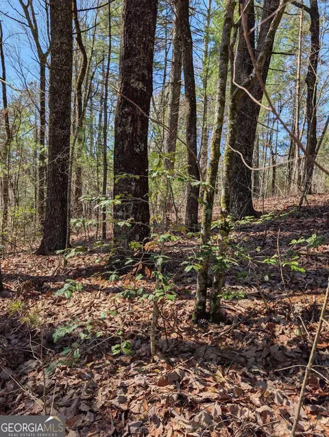 0 Amber Ln, Ellijay, GA 30540
