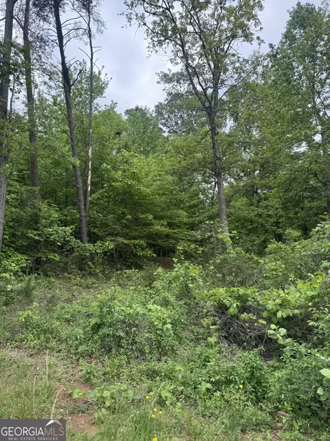 53 Cardinal Ln, Toccoa, GA 30577 photo 4