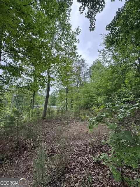 53 Cardinal Ln, Toccoa, GA 30577 photo 9