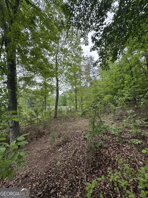 53 Cardinal Ln, Toccoa, GA 30577 photo 8