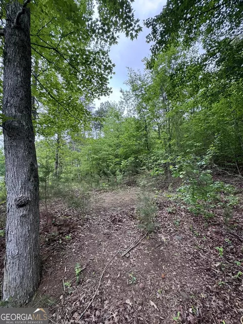 53 Cardinal Ln, Toccoa, GA 30577 photo 10