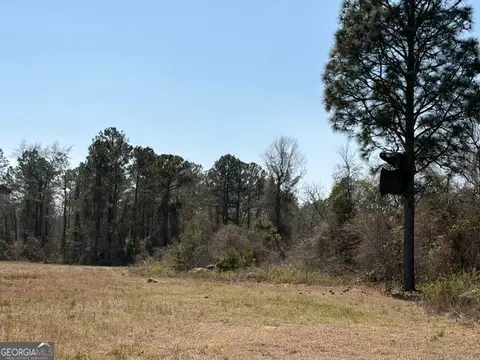 461 Currington Rd, Mauk, GA 31058