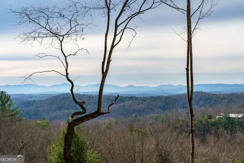 lot13 White Oak Cir #13, Blue Ridge, GA 30513
