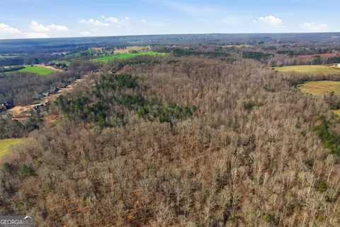 099012 Martin Rd, Talmo, GA 30575 photo 34