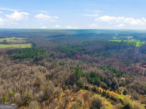 099012 Martin Rd, Talmo, GA 30575 photo 9