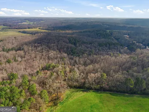 099012 Martin Rd, Talmo, GA 30575 photo 19