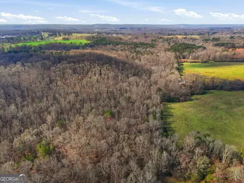 099012 Martin Rd, Talmo, GA 30575 photo 26