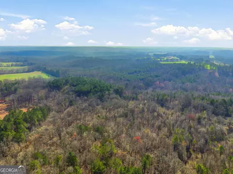 099012 Martin Rd, Talmo, GA 30575 photo 12