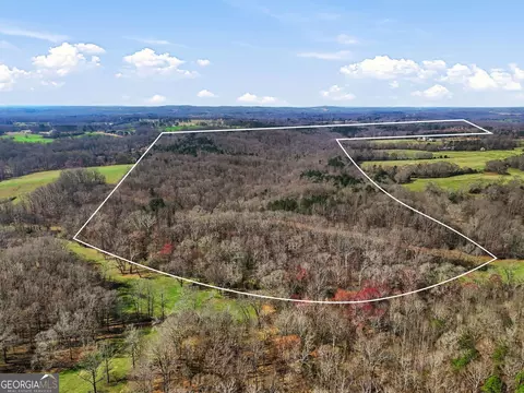099012 Martin Rd, Talmo, GA 30575 photo 3