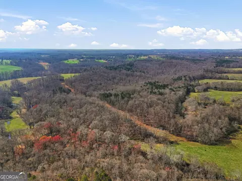 099012 Martin Rd, Talmo, GA 30575 photo 31