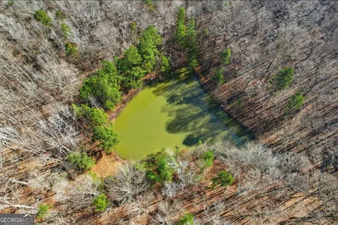 099012 Martin Rd, Talmo, GA 30575 photo 38