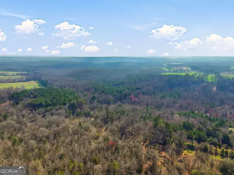 099012 Martin Rd, Talmo, GA 30575 photo 10