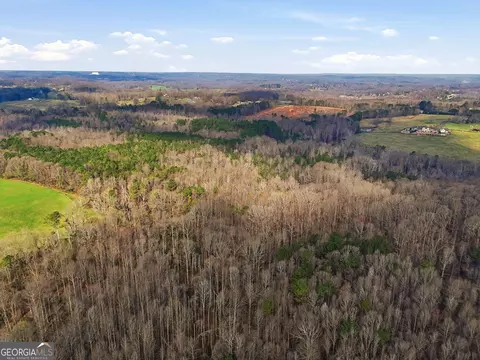 099012 Martin Rd, Talmo, GA 30575 photo 21
