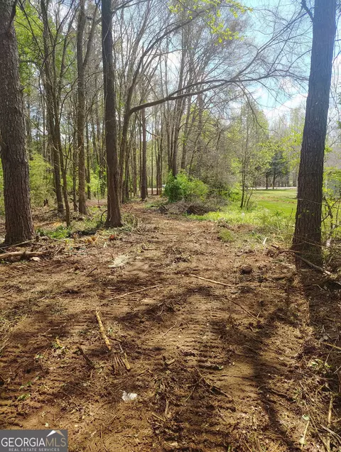 0 Jackson Rd, Griffin, GA 30223 photo 3