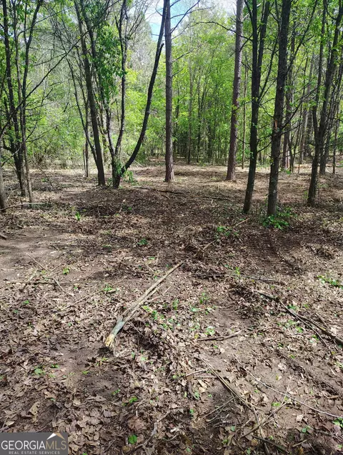 0 Jackson Rd, Griffin, GA 30223 photo 6