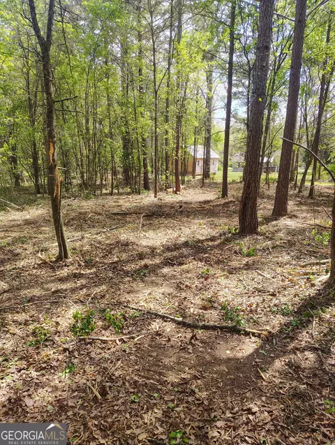 0 Jackson Rd, Griffin, GA 30223 photo 4