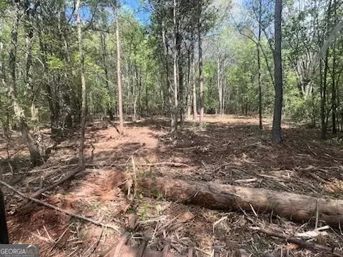 0 Jackson Rd, Griffin, GA 30223 photo 7