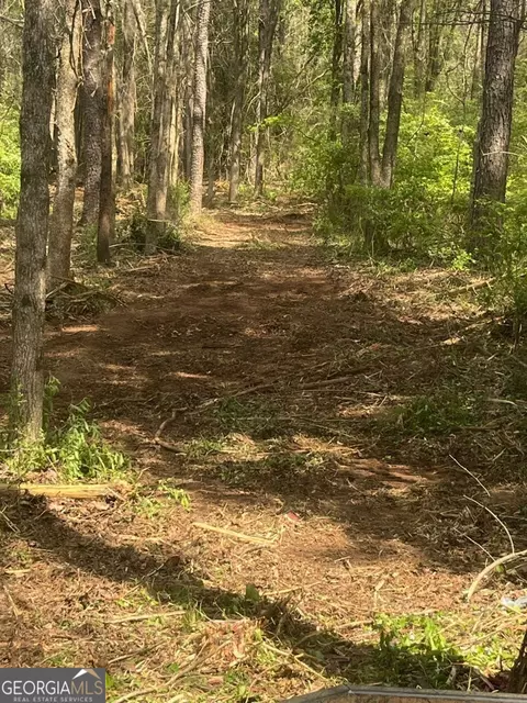 0 Jackson Rd, Griffin, GA 30223 photo 5