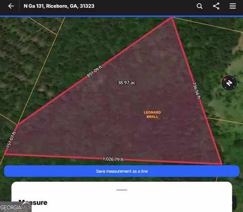 N/s Hwy 131 Lecounte Road, Townsend, GA 31331