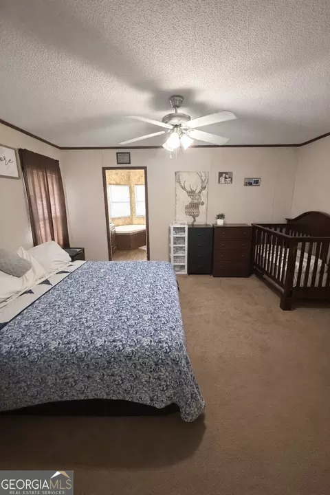 2811 Lyons Center Rd, Lyons, GA 30436 photo 5