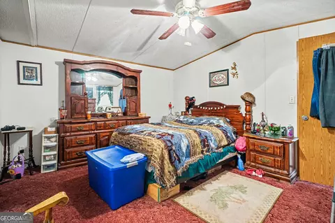 3334 Cherokee Rd, Comer, GA 30629 photo 13