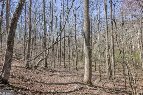 lot62 Cherokee Wood Hollow Dr, Ball Ground, GA 30107